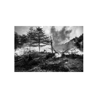 Sentetik Florinsiz Köpük Konsantresi