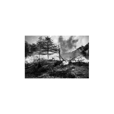 ECOFOAM 3% Synthetic Fluorine Free Foam Concentrate