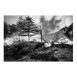 Sentetik Florinsiz Köpük Konsantresi