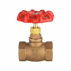 Globe Valve, Bronz ½"