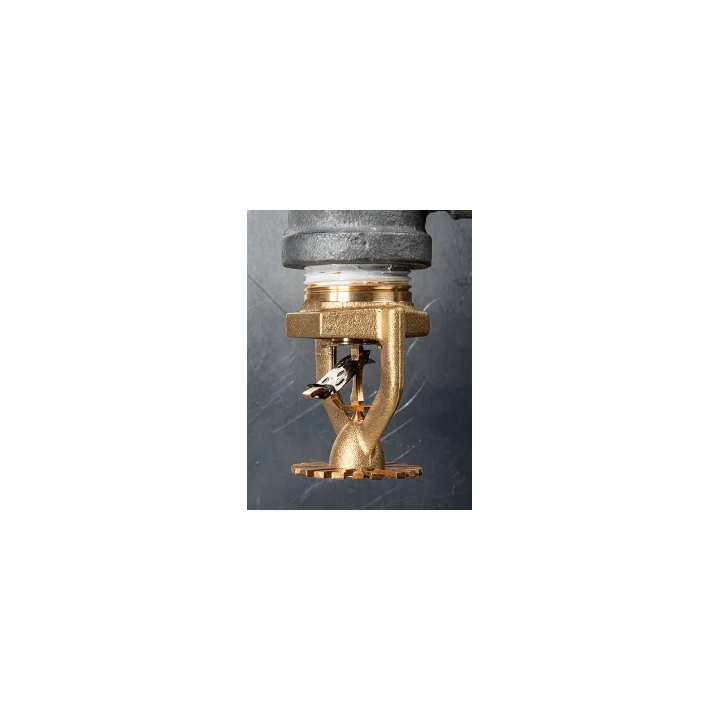 Model P22 ESFR Sarkık Sprinkler