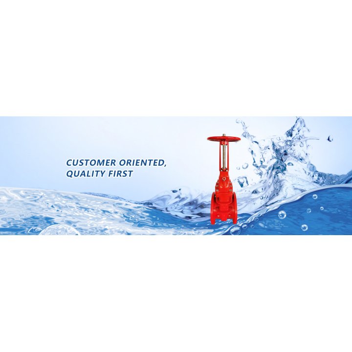 OS&Y Gate Valve PN16