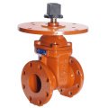 Non-Rising End Gate Valve, Model B101-16, PN16, 250psi UL/FM.  250 PSI AWWA C509 Iron Body Gate Valves