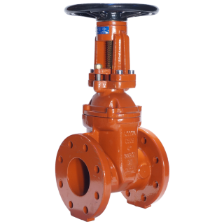 OS&Y Flange End Rising Stem Valve, Model F907, Ansi125 , for working pressure 1724 kPa