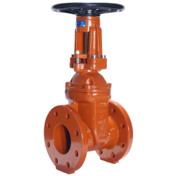 OS&Y Flange End Rising Stem Valve, Model F907, Ansi125 , for working pressure 1724 kPa