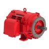 Electric Motor ODP