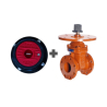 DN 100 4" Yükselmeyen Milli Sürgülü Vana, Model B101-16, PN16, 250psi + Buşakle Kazanı Set Bundle