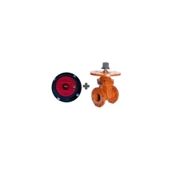 8" DN200  Buşakle Vana Seti  ( NRS Valve included)