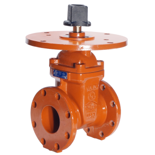 Non-Rising End Gate Valve, Model B111Q-16, PN16, 250psi