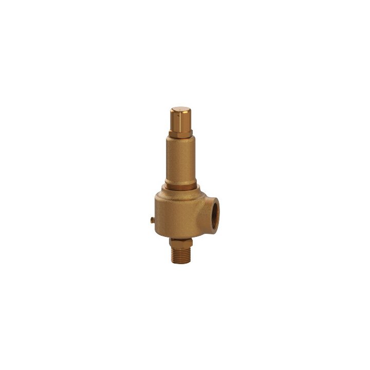 Pressure Relief Valve