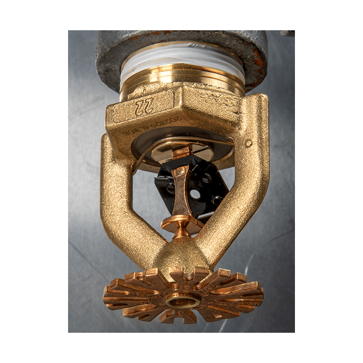 Model P22 ESFR Sarkık Sprinkler