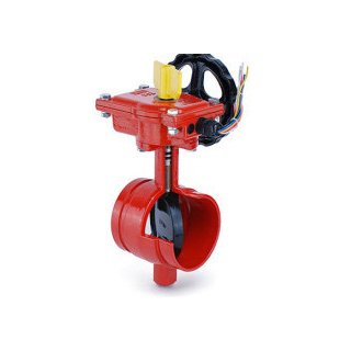 Butterfly Valve, Groove - Groove, Model D81X-362