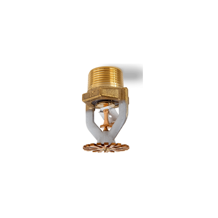 Model P22 ESFR Sarkık Sprinkler