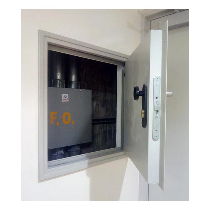 Shaft Door