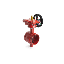 Butterfly Valve, Groove - Groove, Model D81X-362