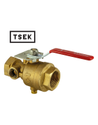 Test and Drain Valve